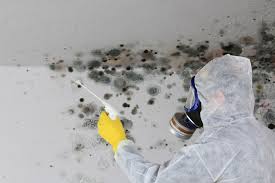 Best Air Quality Testing for Mold Spores  in Canton, GA